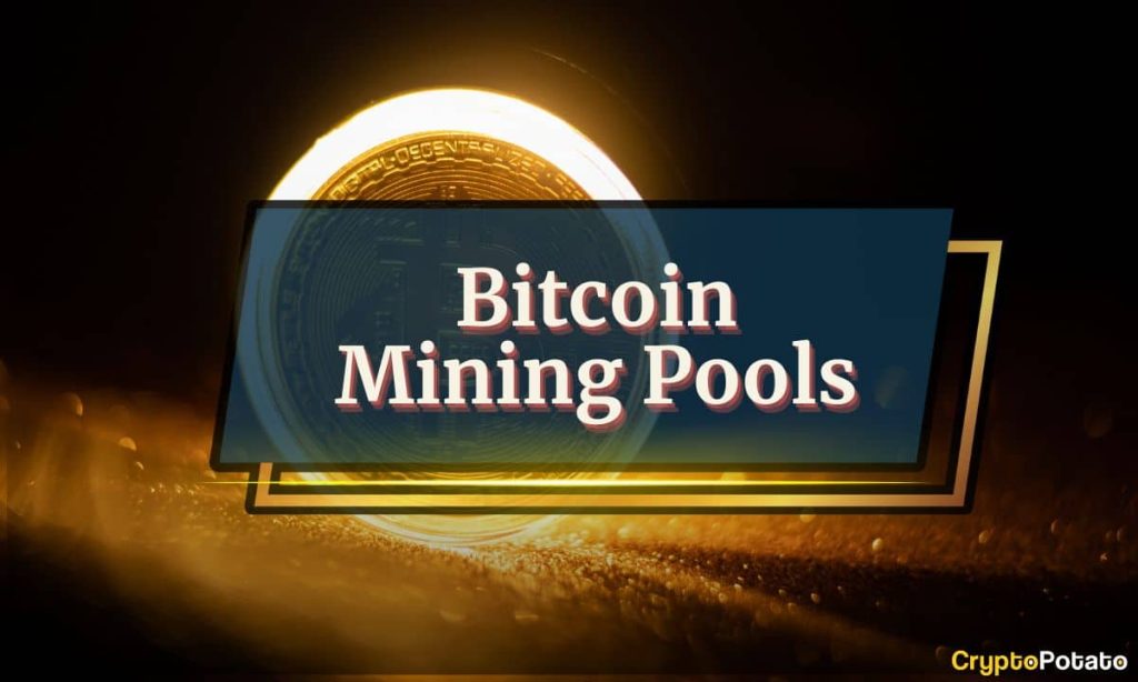 The 5 Best Bitcoin Mining Pools in 2025: Complete Guide